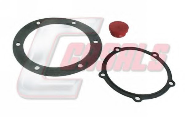 CASALS 9699 Cap, wheel bearing